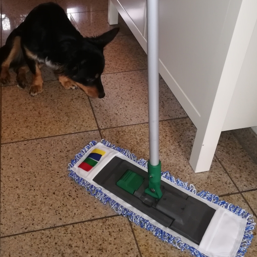 Cleansmart Bodenreinigung Schnel, einfach, nur mit Wasser. Ohne Schnickschnak