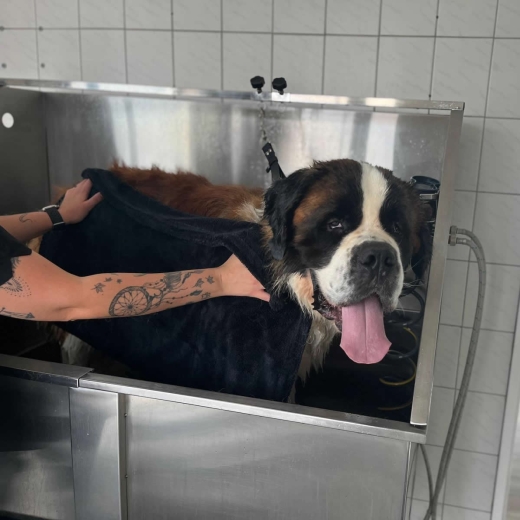 fr den sehr sehr groen Hund